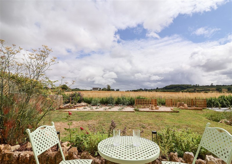 Enjoy the garden (photo 2) at Thatchers End, Sherborne