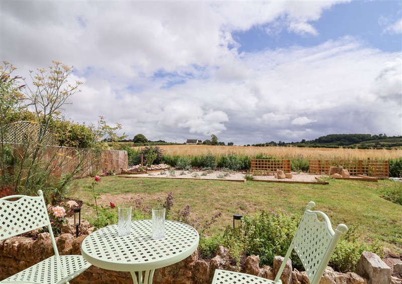 Enjoy the garden at Thatchers End, Sherborne