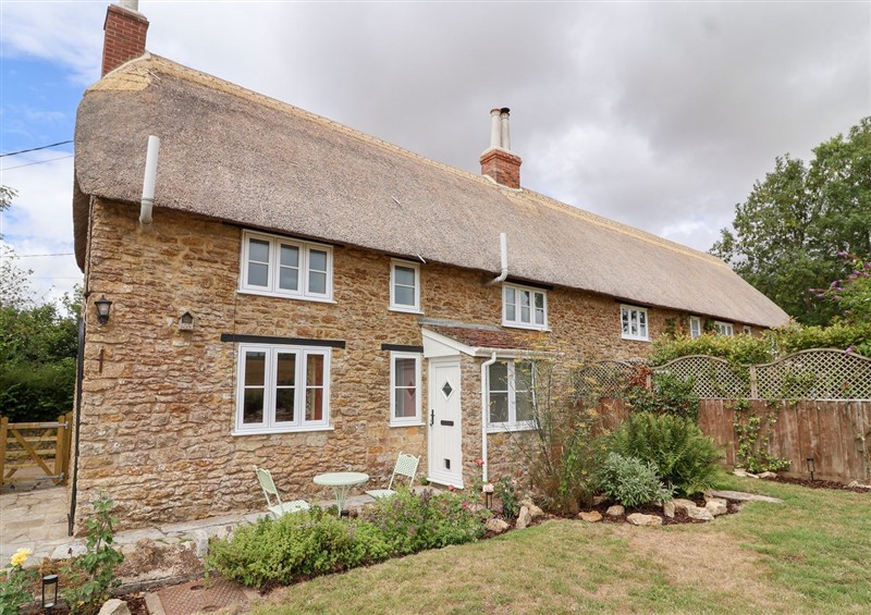 Outside at Thatchers End, Sherborne
