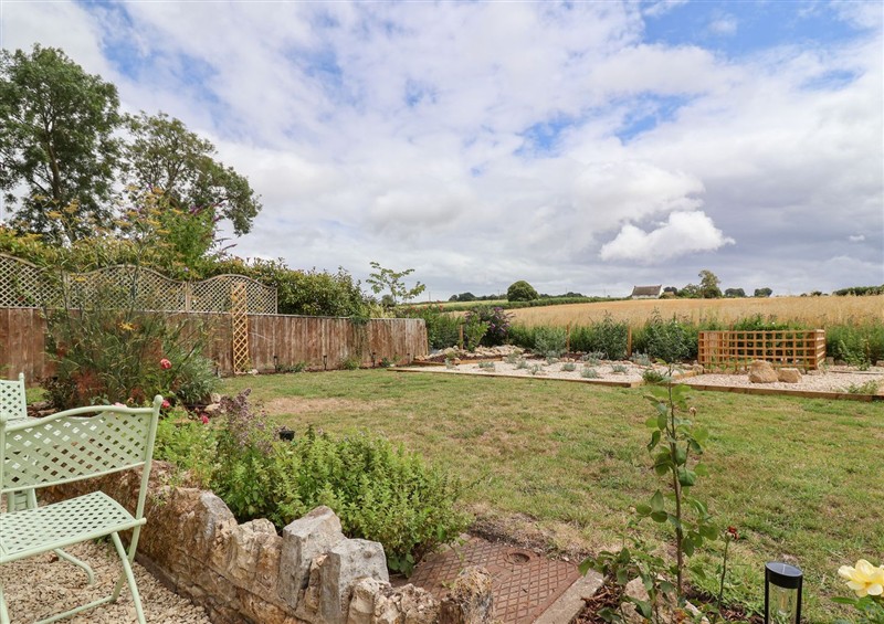 This is the garden at Thatchers End, Sherborne