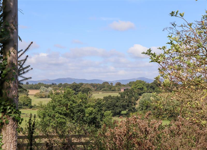 Rural landscape