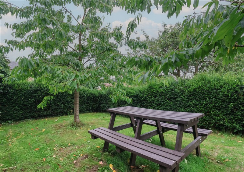 Enjoy the garden at The Annex at Manor Farm, Brandsby
