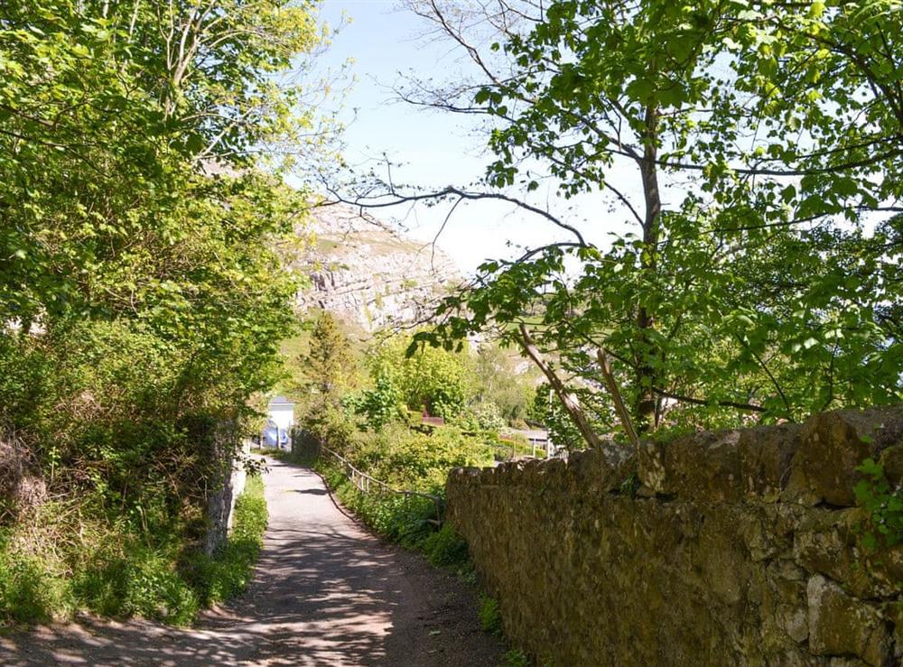 Peaceful driveway to the property at The Annex in Llandudno, Conwy, Gwynedd
