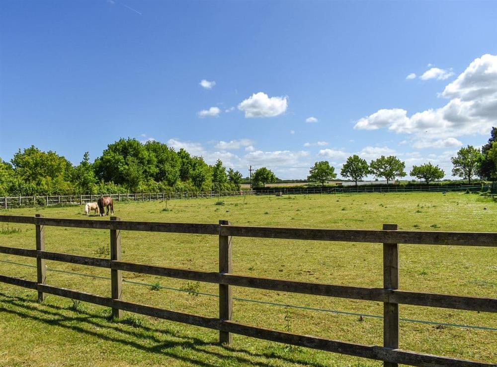 Surrounding area at The Annexe at Park Farm Barns in Snettisham, Norfolk