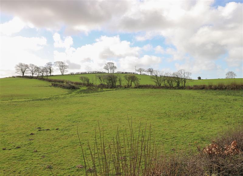 The area around The Annexe, Meadow Croft