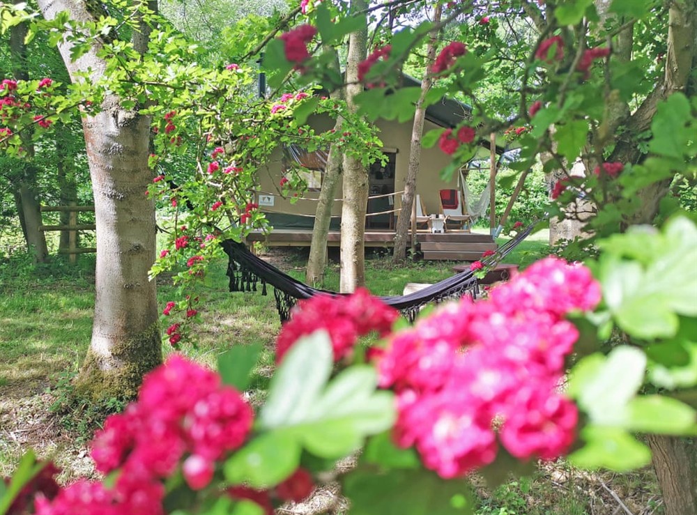 Exterior (photo 3) at The Apple Bobber in Halesworth, Suffolk