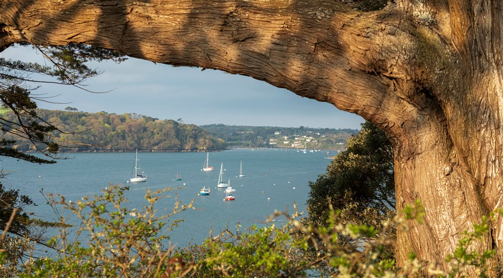 The surrounding area (photo 2) at The Apple Store in Falmouth, Cornwall