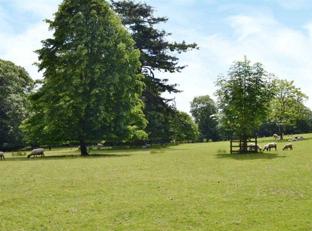Garden and grounds at The Appleloft in Webbery, Nr Bideford, North Devon., Great Britain