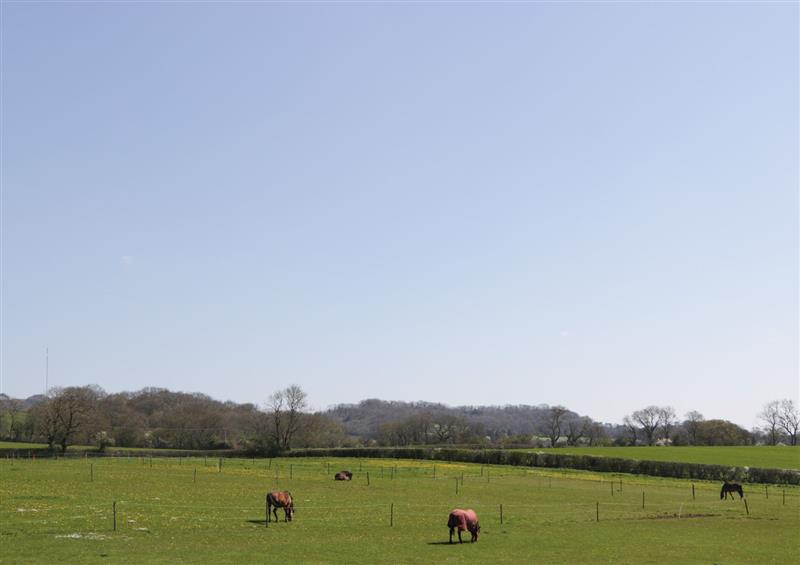 Rural landscape at The Attic at Redmond Bottom, Easton near Wookey