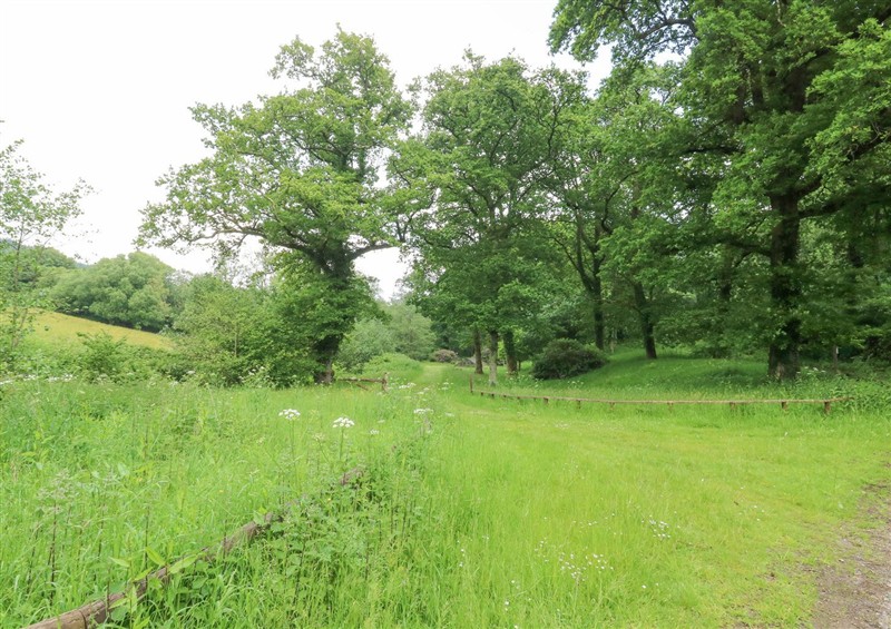 Enjoy the garden (photo 2) at The Babbling Brook Nook, Chudleigh