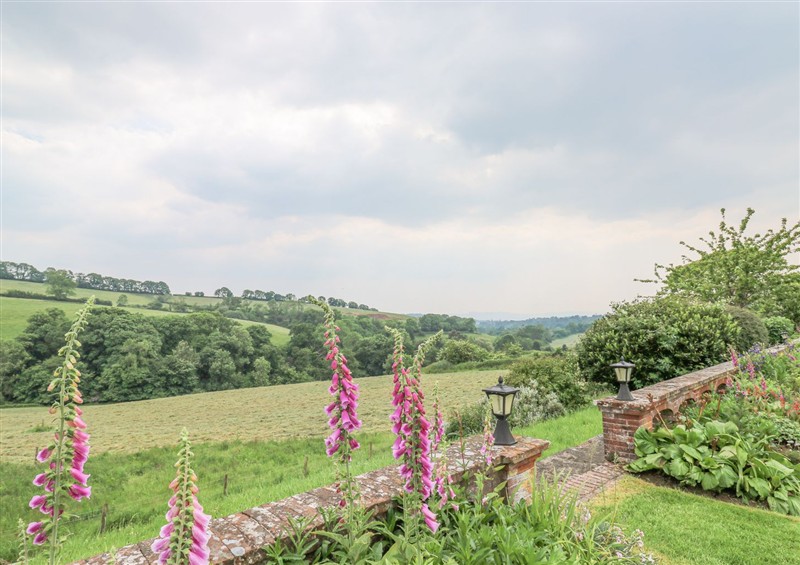Rural landscape at The Babbling Brook Nook, Chudleigh