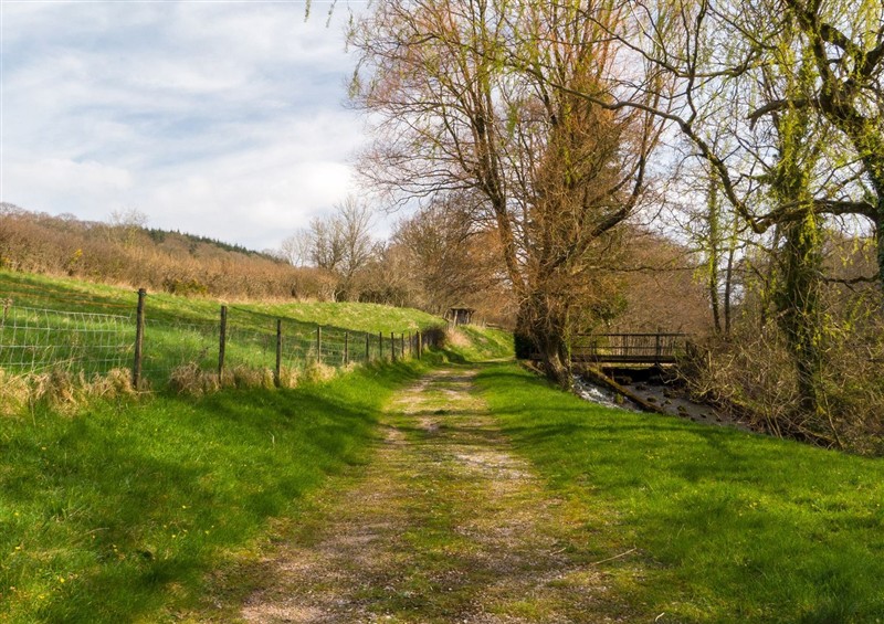 The garden (photo 3) at The Babbling Brook Nook, Chudleigh