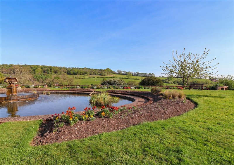 The setting of The Babbling Brook Nook at The Babbling Brook Nook, Chudleigh
