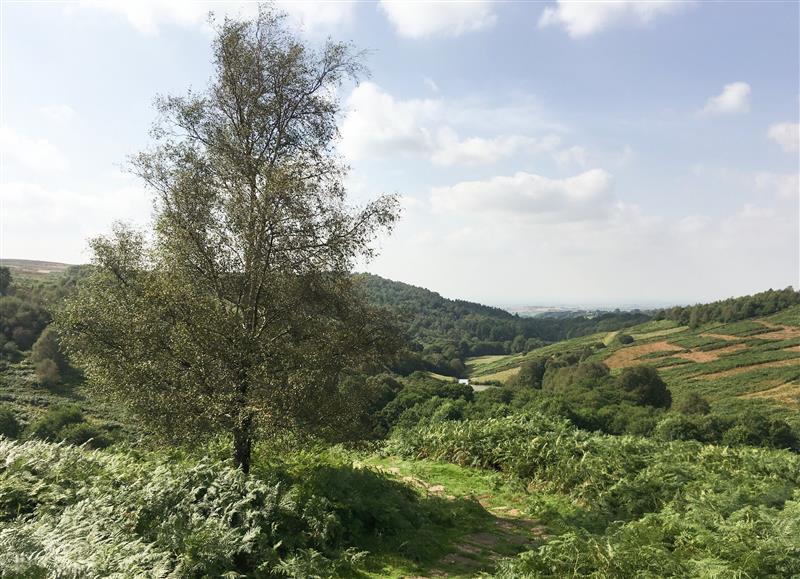 Rural landscape