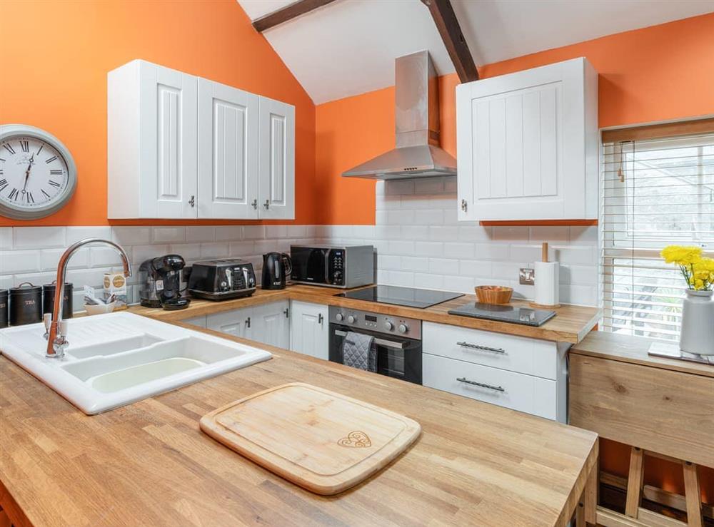 Kitchen at The Barn Annexe in St Just, Cornwall