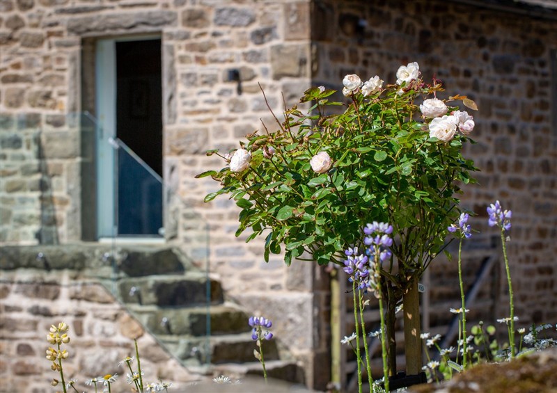 This is the garden (photo 2) at The Barn at Amelias Kitchen, Halton Gill near Settle