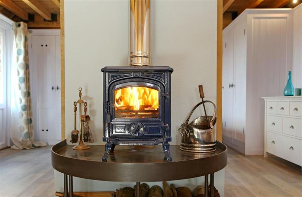 Wood burning stove at The Barn at Banks Cottage, Pulborough, Sussex