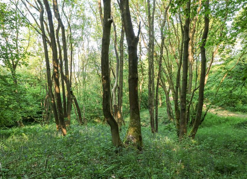 The area around The Barn at Catacol