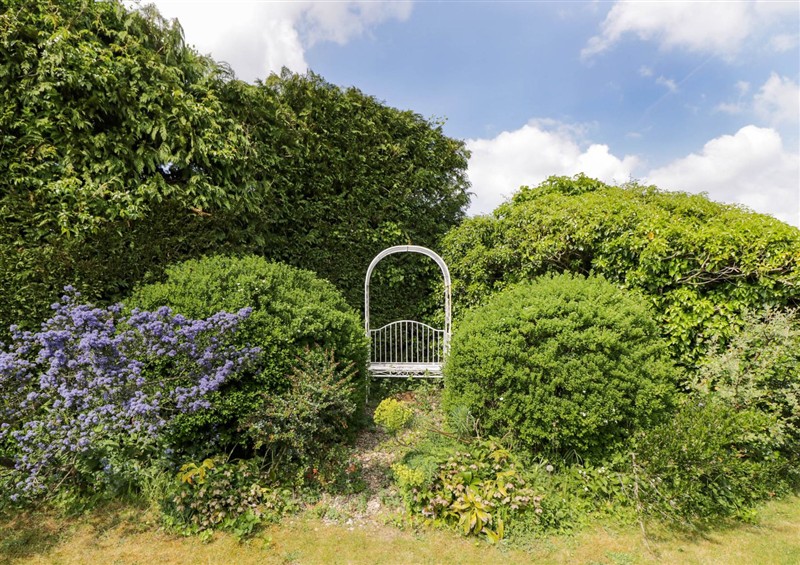 Enjoy the garden (photo 2) at The Barn at Daubeneys, Colerne