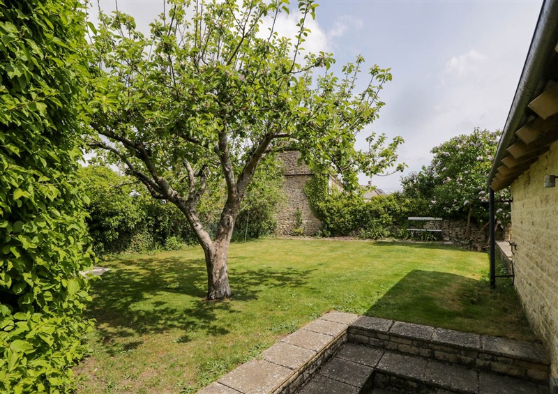 This is the garden at The Barn at Daubeneys, Colerne