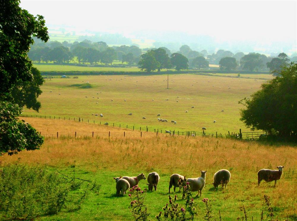 Views from The Barn at Plas Ashpool