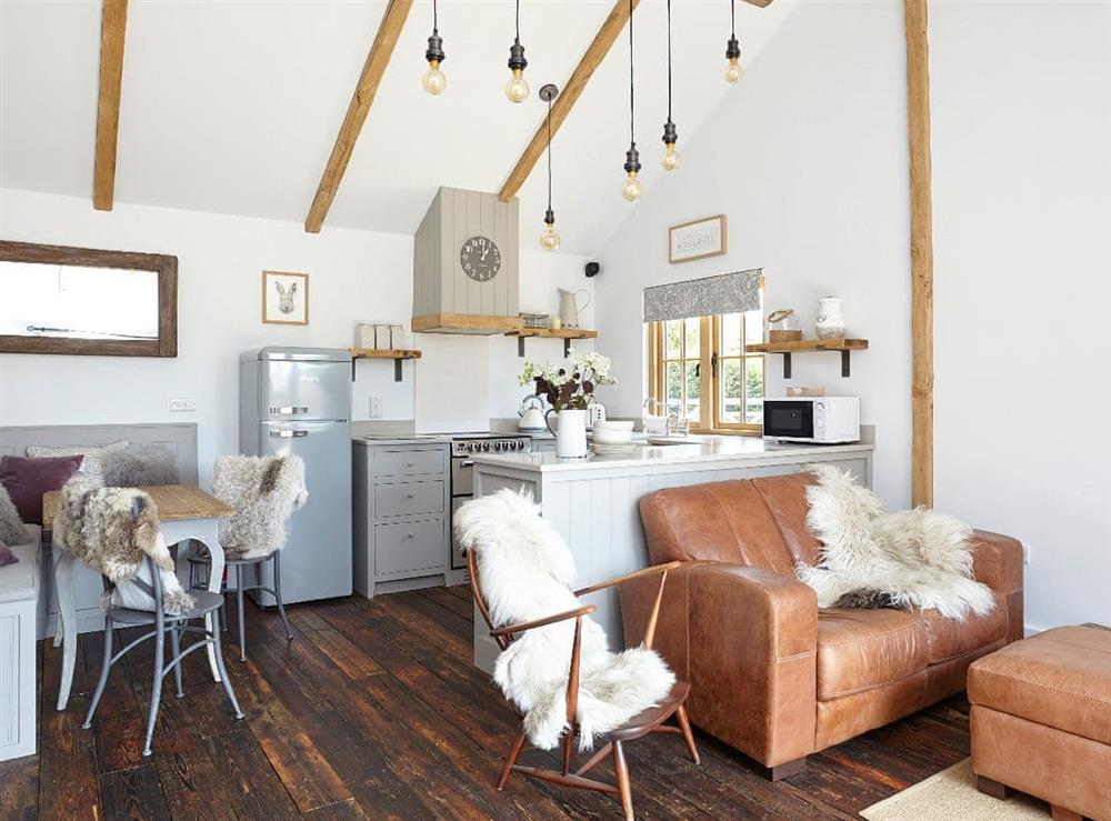 Light and airy open-plan living space at The Barn in Brighstone, Isle of Wight