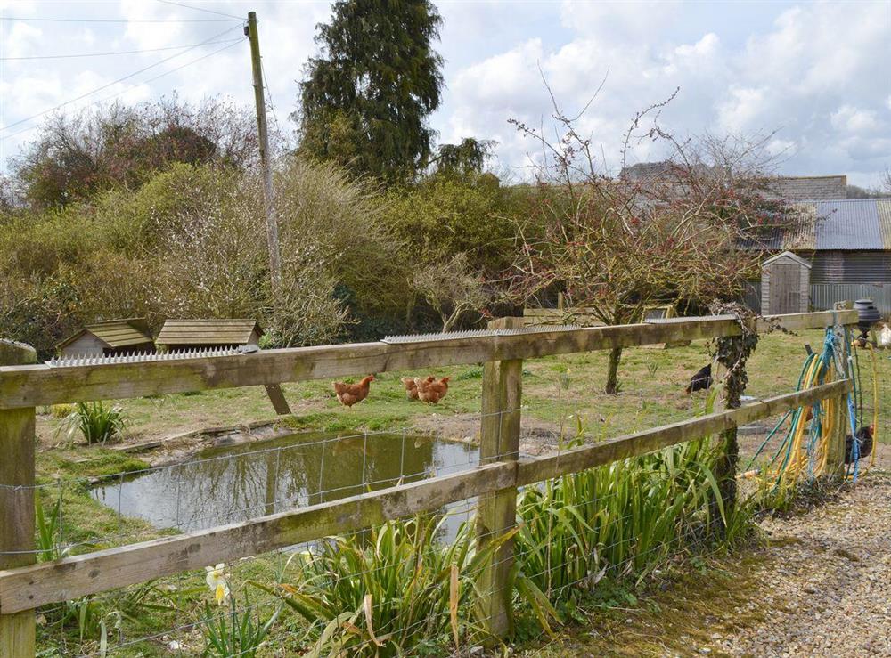 Around the complex – The duck pond at The Barn in Compton, near Chichester, West Sussex