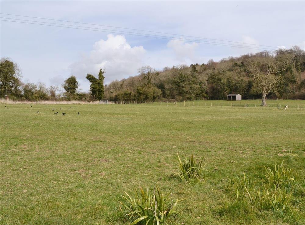 Around the complex –Open grassy fields at The Barn in Compton, near Chichester, West Sussex