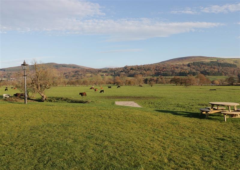 The setting (photo 2) at The Barn, Corwen
