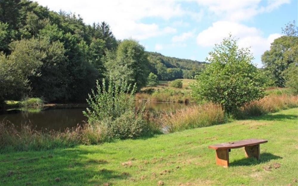 Sit by the lake, relax and contemplate at The Barn, Elsdon in Lyme Regis
