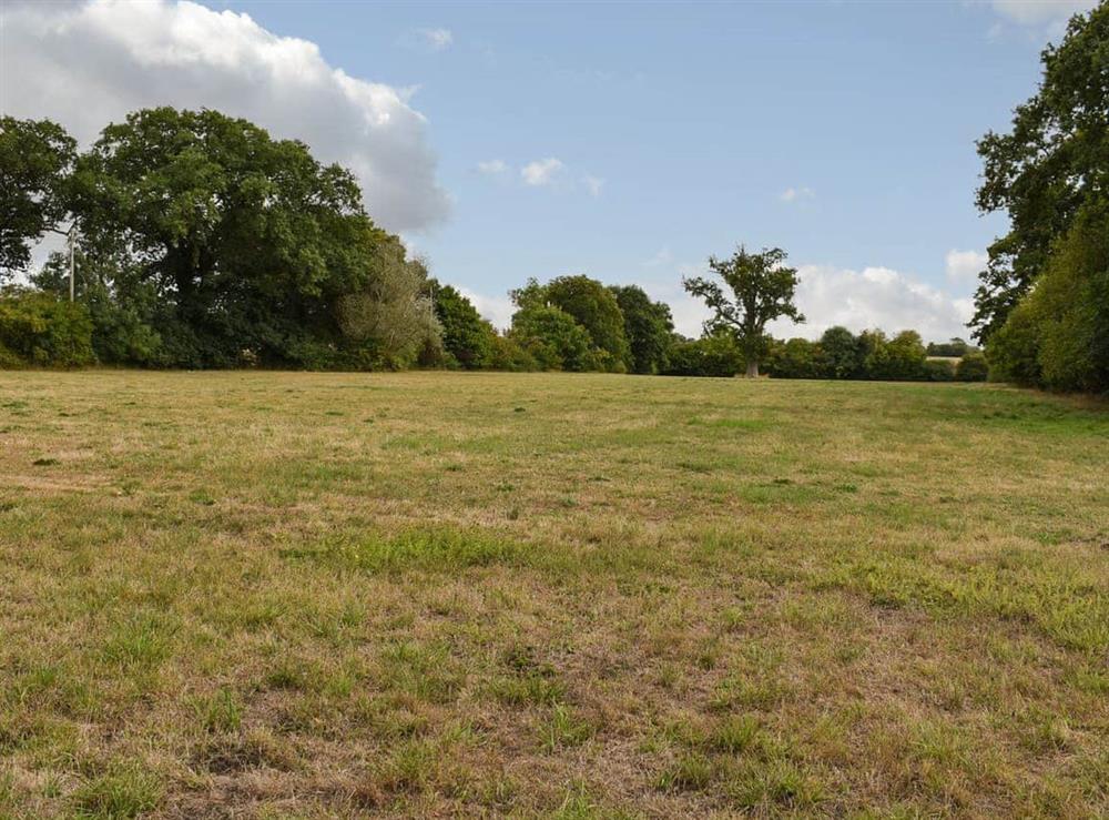 Garden and grounds at The Barn in Walpole, near Halesworth, Suffolk