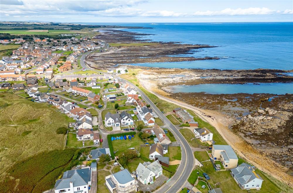 A birds-eye view of The Bay