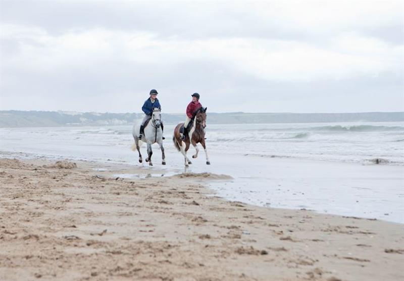 Beach horse riding at The Bay in , Filey
