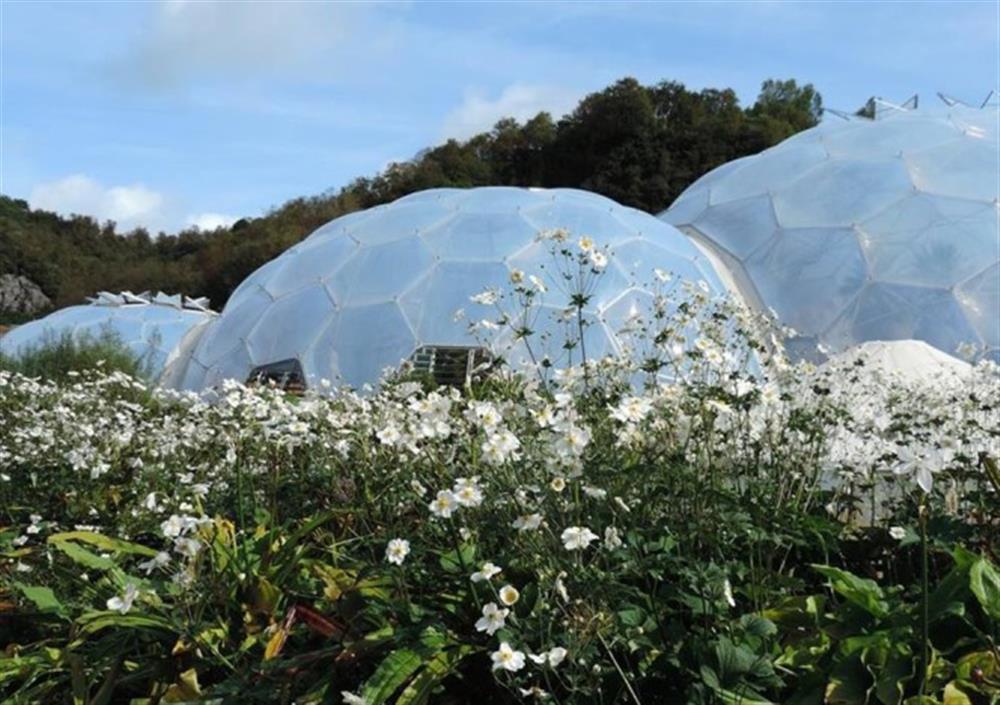 Eden Project at The Beach Lodge in Porthpean