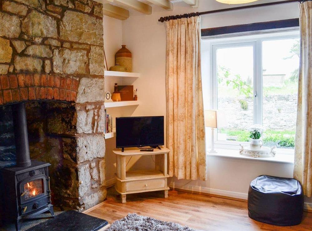 Warm and cosy living room with woodburner at The Bellringers Cottage in Llandegla, near Wrexham, Denbighshire