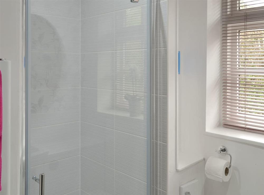 Modern shower room at The Berry in Marldon, near Paignton, Devon