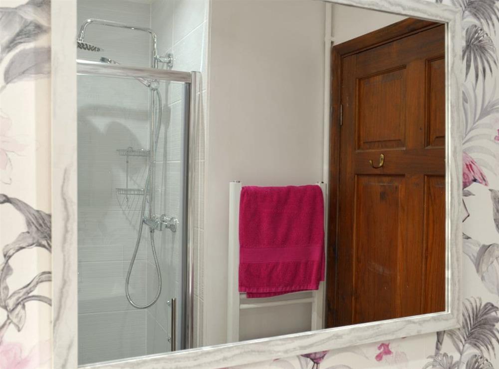 Shower room with shower cubicle, toilet and basin at The Berry in Marldon, near Paignton, Devon