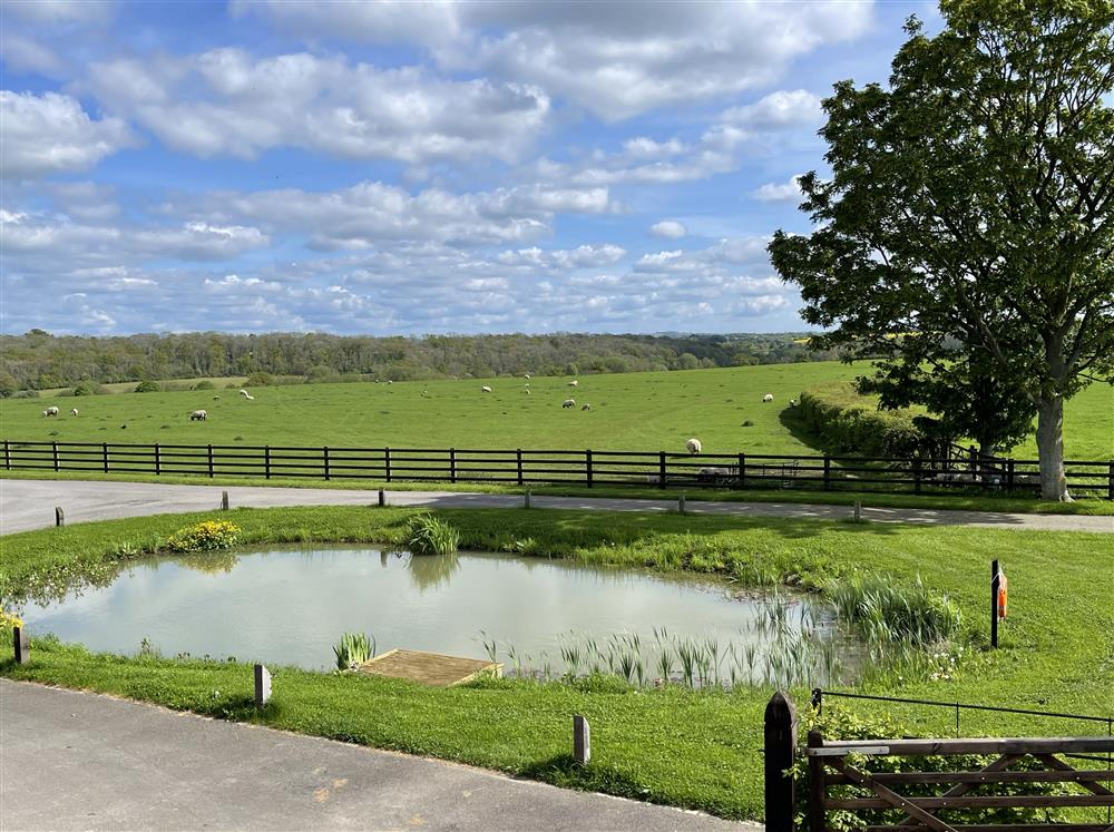 The open pond with surrounding countryside views at The Big Barn, Walton, Near Stratford-upon-Avon