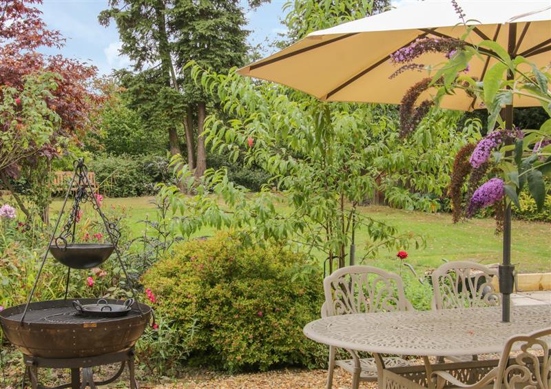 Enjoy the garden at The Big Dingle, Leebotwood near Church Stretton