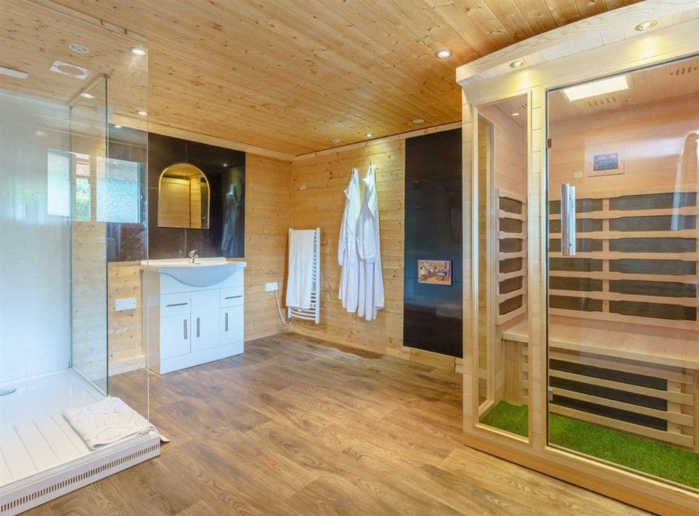 En-suite with shower and sauna (photo 2) at The Blackberry Retreat in Tenterden, Kent