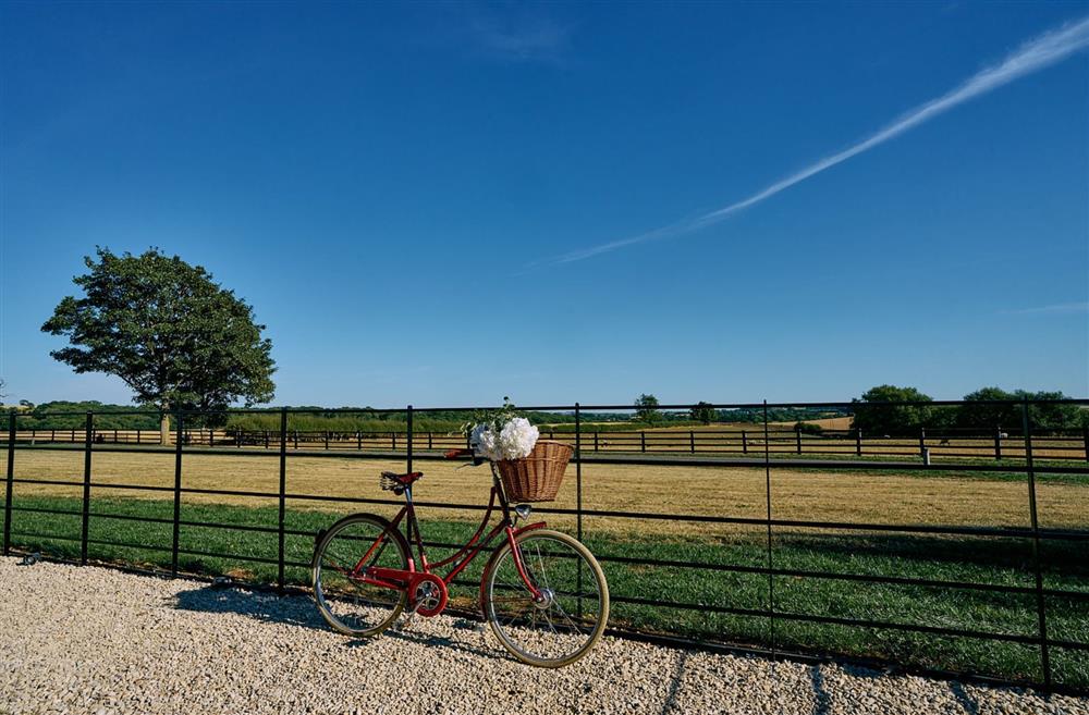 Views from The Blended Barn