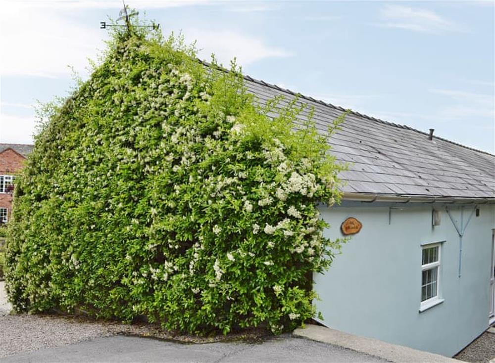Exterior at The Blue House in Bickerton, near Whitchurch, Cheshire
