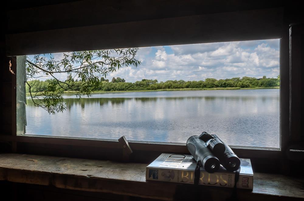 Look out onto the lake and watch the birds