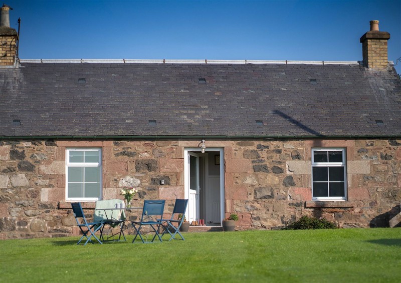 Outside The Bothy at The Bothy, Blairgowrie