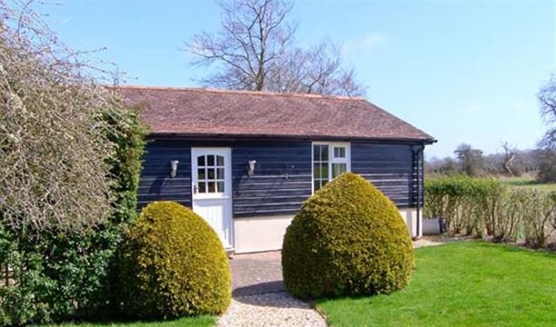 The garden at The Bothy, Lymington