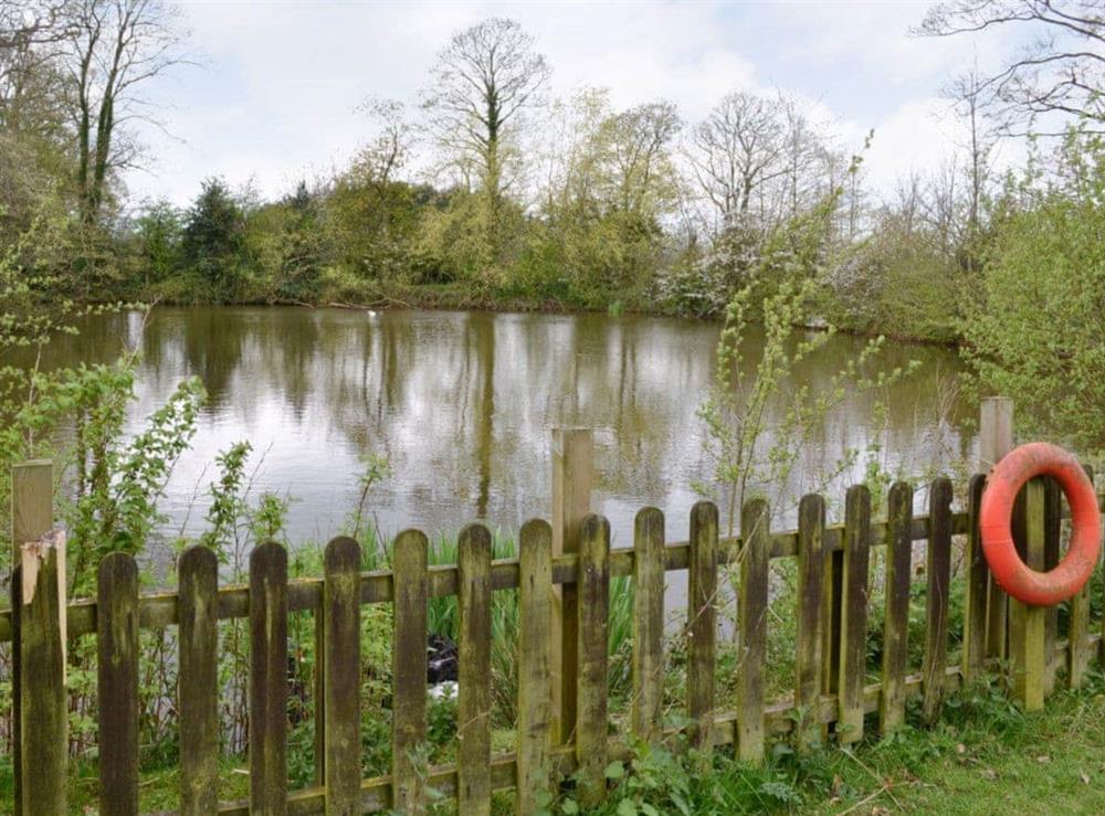 Fenced pond at The Bothy in Calthwaite, near Penrith, Cumbria