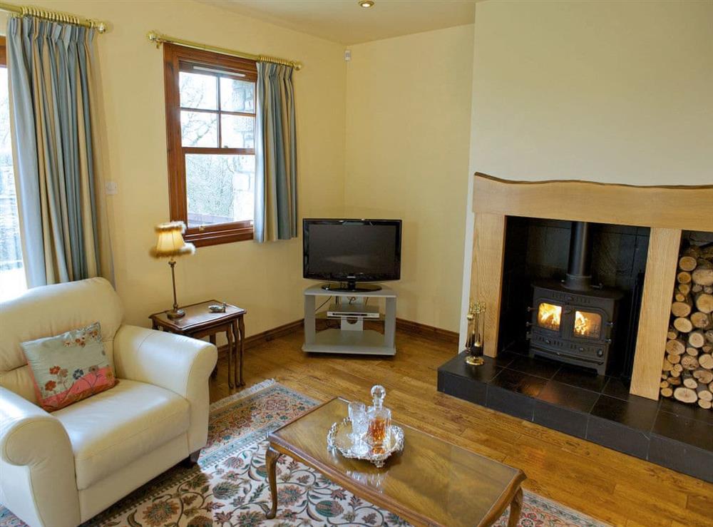 Comfortable living room at The Bothy in Forth, Glasgow and Clyde, Lanarkshire