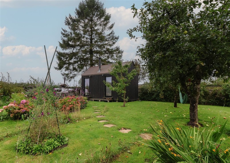 Enjoy the garden at The Bothy, Kilmington near Mere