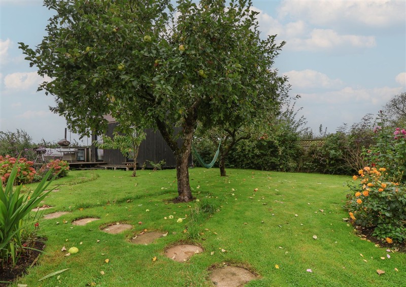 Outside at The Bothy, Kilmington near Mere