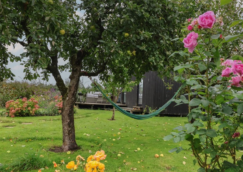 The garden in The Bothy (photo 3) at The Bothy, Kilmington near Mere